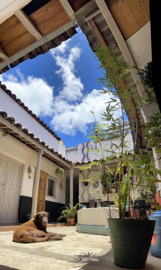 Hostal Posada Mi Casa San Cristóbal de Las Casas Dış mekan fotoğraf
