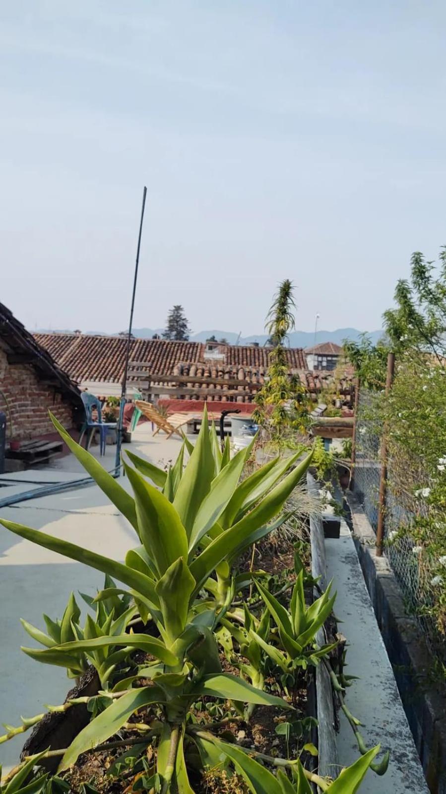 Hostal Posada Mi Casa San Cristóbal de Las Casas Dış mekan fotoğraf